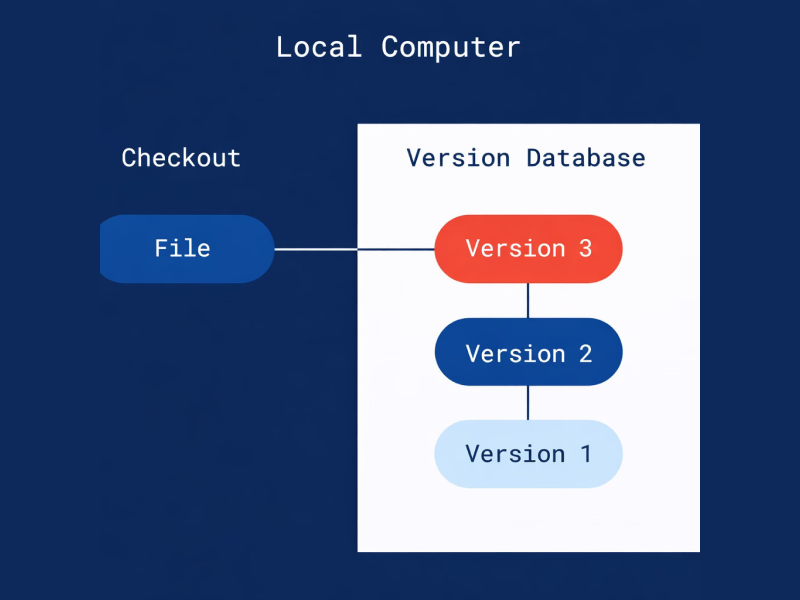 VCS Local version control system