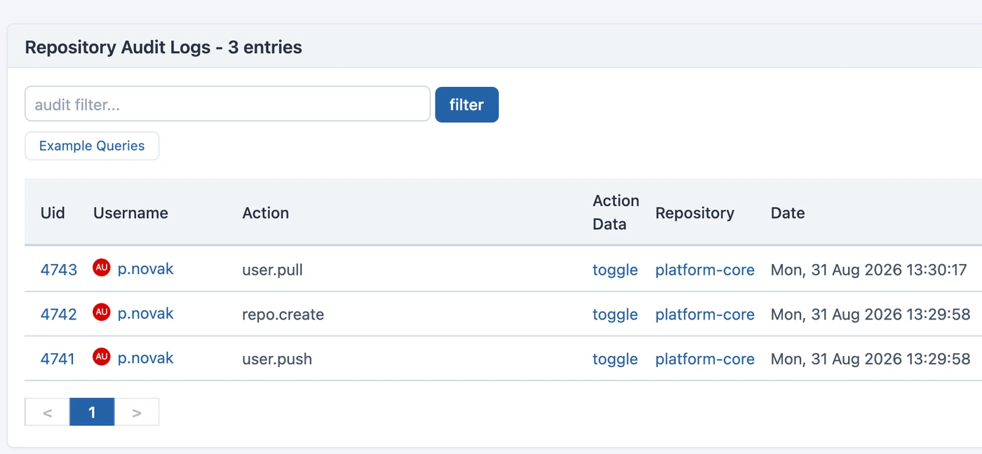 Repository audit log — who did what, on which repository, and when